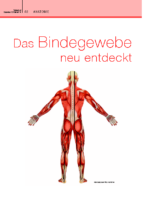 Anatomie_ Das Bindegewebe – Yoga, das Magazin Dez 13_Jan 14