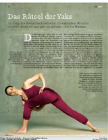 Süddeutsche Zeitung, März 2010, Buchrezension ChiYoga – Sanftes Workout für Körper, Geist und Seele